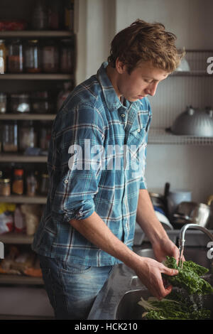 Lavaggio uomo vegetale in cucina Foto Stock