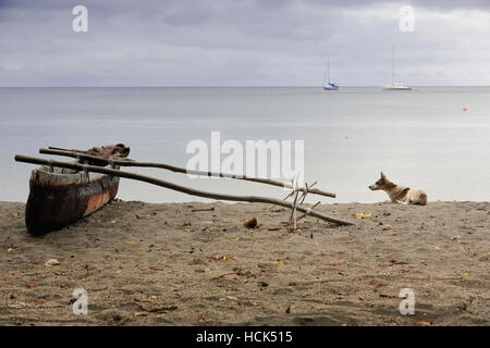 Vecchia piroga canotto la pesca con buttafuori bloccati sulla spiaggia e cane sdraiato sulla sabbia grossa dal suo lato di barche a vela di lusso sullo sfondo elemento di ancoraggio Foto Stock