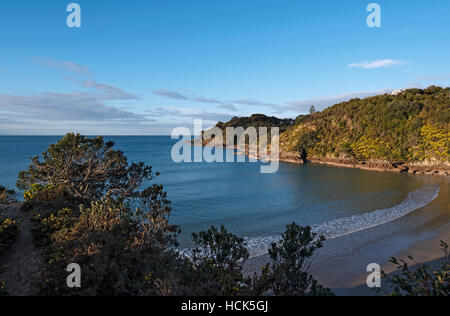 Poco Oneroa Beach; Waiheke Island, Nuova Zelanda Foto Stock