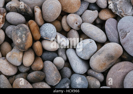 Ciottoli su una spiaggia. Foto Stock