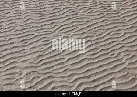 Fluttuazioni nella sabbia bagnata su una spiaggia Foto Stock