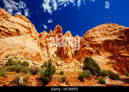 Grand Wash è un famoso gorge che taglia il suo modo attraverso la porzione superiore del Waterpocket Fold nel Parco nazionale di Capitol Reef. Foto Stock