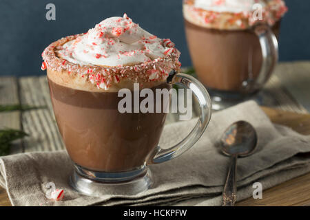 In casa la menta piperita cioccolata calda con panna montata Foto Stock