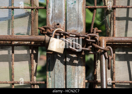 Porta di metallo bloccato con catena e lucchetto Foto Stock