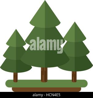 Canadian albero sempreverde Pino Illustrazione Vettoriale