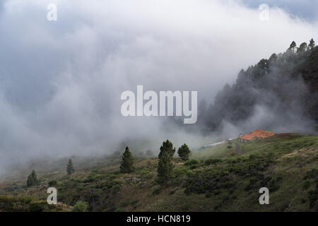 Casa sulla collina verde in Spesse nuvole / nebbia Foto Stock