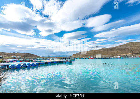 Pesce salmone farm galleggianti in acque glaciali del braccio Wairepo, Twizel, Isola del Sud, Nuova Zelanda Foto Stock