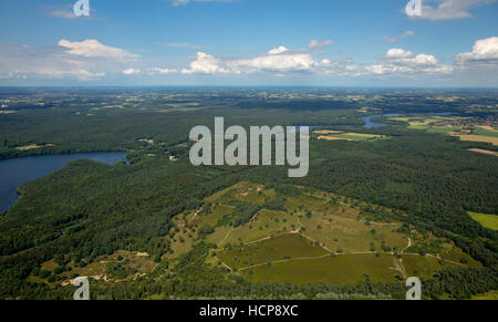 Vista aerea del Westruper heath, Haltern riserva naturale della Ruhr, Renania settentrionale-Vestfalia, Germania Foto Stock