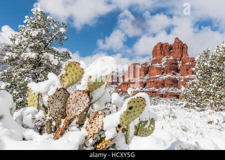 Bell Rock dopo una tempesta di neve vicino a Sedona, in Arizona, Stati Uniti d'America Foto Stock