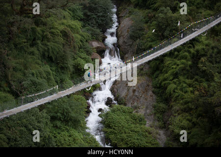 Escursionismo il sentiero tra fiume e Thulo Sypro nella regione Langtang, Nepal Foto Stock