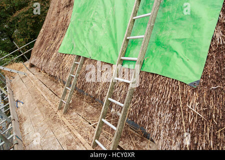 Con il tetto di paglia spiovente del tetto e indossato con impalcatura e strumenti per la riparazione Foto Stock