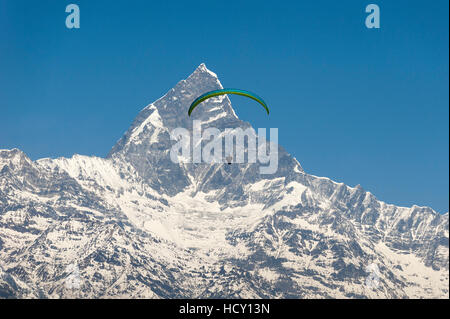 Un parapendio si blocca in aria con il picco drammatico di Machapuchare (coda di pesce della montagna) nella distanza, Nepal Foto Stock