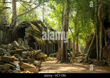 La giungla nasconde le antiche rovine di Ta Prohm in Angkor National Park, UNESCO, Siem Reap, Cambogia, Indocina, sud-est Foto Stock
