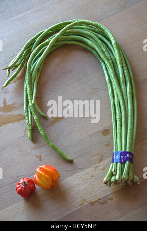 Yardlong Fave, Vigna unguiculata Foto Stock