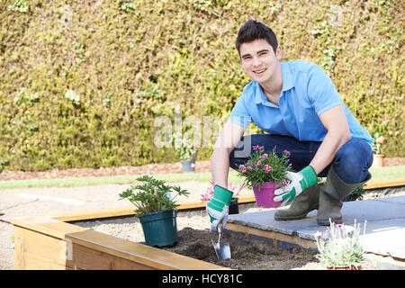 Paesaggio giardiniere Semina letto di fiori nel giardino Foto Stock