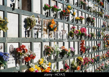 Allinea gli oggetti contrassegnati per la rimozione definitiva in un cimitero con tulipani rosa nella parte anteriore delle lapidi. Foto Stock