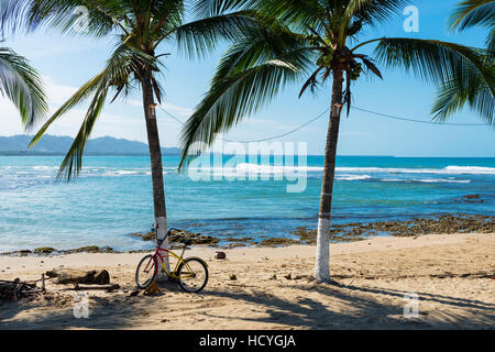 Vista di una spiaggia con palme in Puerto Viejo de Talamanca, Costa Rica, America Centrale Foto Stock