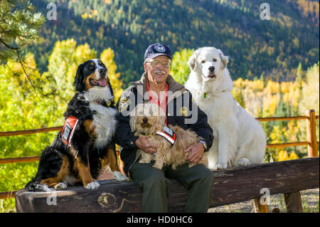 Senior ponendo l'uomo con i suoi tre formati - sostegno emotivo cani, compreso un Bovaro del Bernese e un grande Pirenei Foto Stock