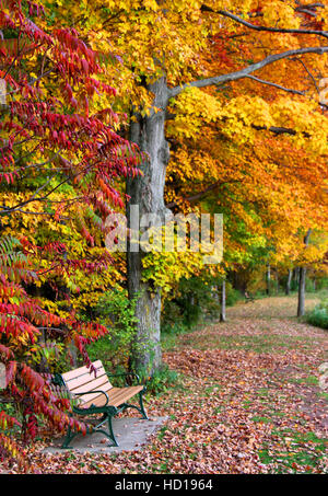 In autunno una panchina nel parco paesaggio, cacciatore di montagna, Catskills Mountains, NY, STATI UNITI D'AMERICA. Foto Stock