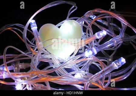 Cuore in Fairy nido di luce Foto Stock