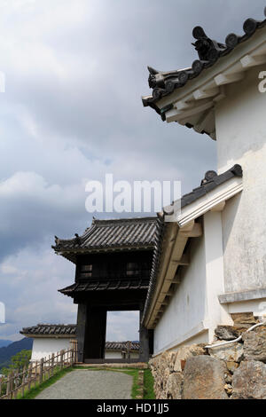 Kochi cancello di Castello, Kochi City, Shikoku Isola, Giappone, Asia Foto Stock
