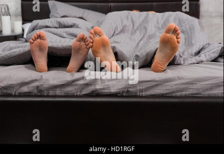 In prossimità dei quattro piedi sotto coperta grigio in stile moderno bed Foto Stock