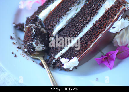 Torta al cioccolato dolce con quattro strati riempito con crema vaniglia su una piastra bianca Foto Stock