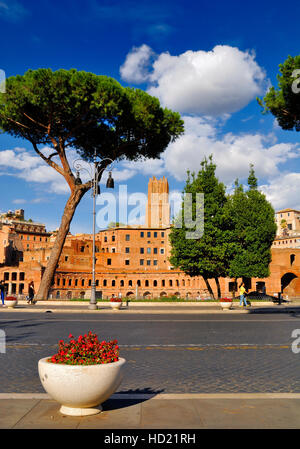 Foro Romano, il centro storico di Roma, Italia. Foto Stock