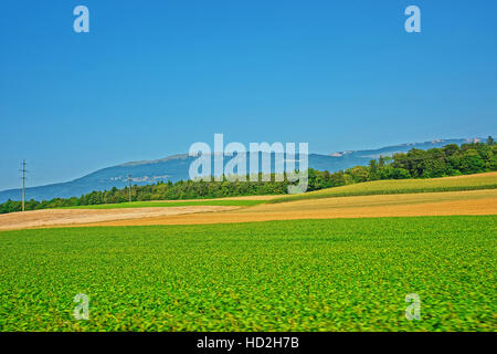 Campo in un villaggio svizzero a Yverdon les Bains in Jura Nord Vaudois quartiere di Canton Vaud, Svizzera. Foto Stock