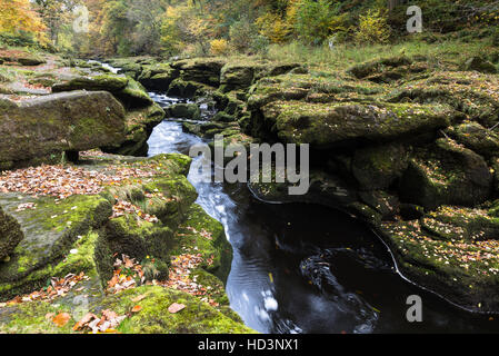 Vista autunnale del Fiume Wharfe al 'hotel Astrid tra Barden e Bolton Abbey, Yorkshire Dales National Park, Foto Stock