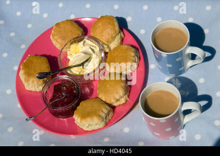 Un informale tè alla crema con scones, crema, marmellata e 2 tazze di tè su un blu pallido vassoio Foto Stock