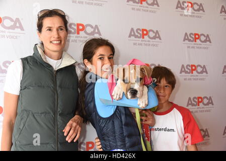 Matt Lauer e famiglia adotta un cane dalla ASPCA durante l'Hampton Classic Horse Show con: Annette Lauer, Romy Lauer, Mocha il cane e Thijs Lauer dove: Bridgehampton, New York, Stati Uniti quando: 05 Set 2016 Foto Stock