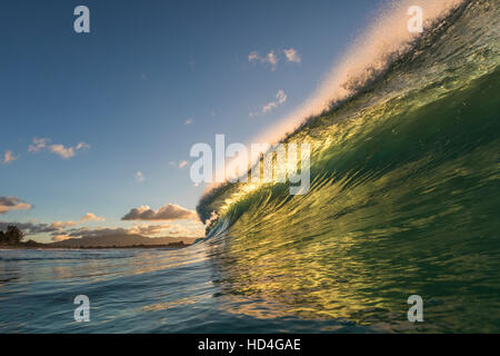 Un back lit shore break wave a Keiki spiaggia sulla costa nord di Oahu. Foto Stock