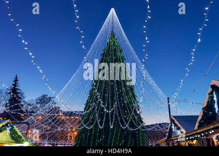 Incandescente albero di Natale con decorazioni e Xmas contatori installati presso la piazza della cattedrale di Vilnius, Lituania. Esso ha le luci fairy come se veilin nuziale Foto Stock