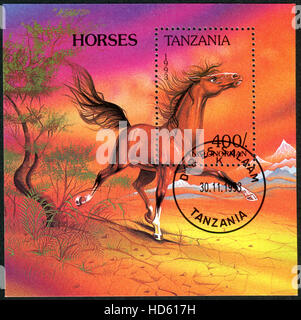 TANZANIA - circa 1993: un timbro (souvenir) foglio stampato in Tanzania, mostra il cavallo anglo-normanna, circa 1993 Foto Stock