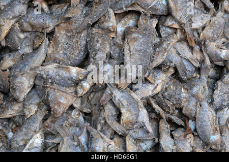 Indurito di stallo di pesce al mercato, Antsirabe, regione di Vakinankaratra, Madagascar Foto Stock