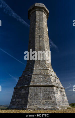 Hardys monumento in memoria del comandante nella Battaglia di Trafalgar. Dorchester Dorset, Inghilterra, Regno Unito. Foto Stock