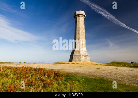 Hardys monumento in memoria del comandante nella Battaglia di Trafalgar. Dorchester Dorset, Inghilterra, Regno Unito. Foto Stock