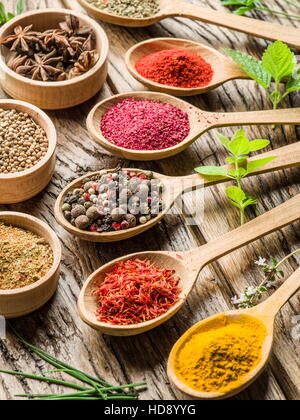 Assortimento di spezie colorate in i cucchiai di legno e bocce. Foto Stock