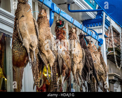 Malton, Regno Unito. 10 dicembre, 2016. Selvaggina di penna, fagiani, pernici e gallo cedrone, appeso al di fuori del tradizionale negozio di macellaio. Gli uccelli sono in vendita in preparazione per il Natale a Malton Christmas Market alimentare, North Yorkshire.. Foto Fotografia Bailey-Cooper/Alamy Live News Foto Stock