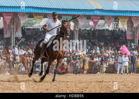 Cavallo in tenda ancoraggio concorso presso lo stadio di Pushkar, Rajasthan ,l'India. Foto Stock