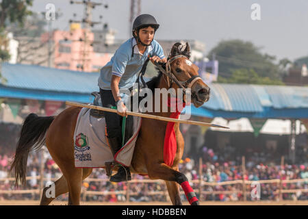 Il ragazzo corse a cavallo in tenda ancoraggio concorso presso lo stadio di Pushkar, Rajasthan ,l'India. Foto Stock