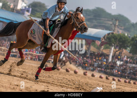 Il ragazzo corse a cavallo in tenda ancoraggio concorso presso lo stadio di Pushkar, Rajasthan ,l'India. Foto Stock