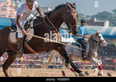 Cavallo in tenda ancoraggio concorso presso lo stadio di Pushkar, Rajasthan ,l'India. Foto Stock