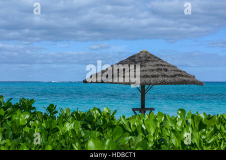 Un ombrello con tetto in paglia in Turks & Caicos. Bella blu, turchese e acquamarina acqua / mare con fogliame verde Foto Stock