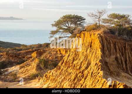 Broken Hill e vista oceano. Torrey Pines Riserva Naturale Statale a La Jolla, San Diego, California, USA. Foto Stock