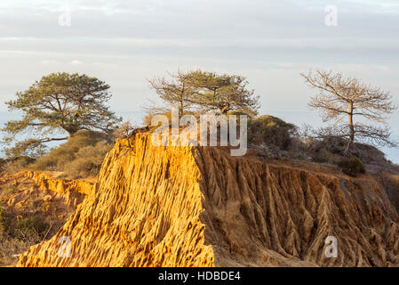 Broken Hill e vista oceano. Torrey Pines Riserva Naturale Statale a La Jolla, San Diego, California, USA. Foto Stock