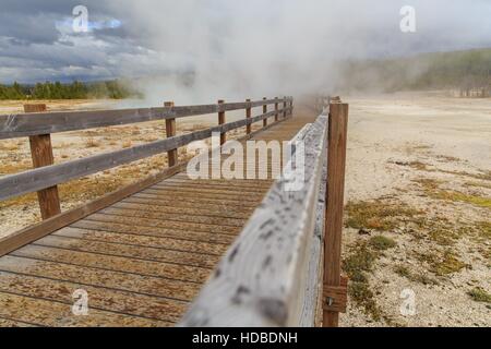 La passerella in forma di vapore uno dei geyser nel Parco Nazionale di Yellowstone, Wyoming negli Stati Uniti. Foto Stock