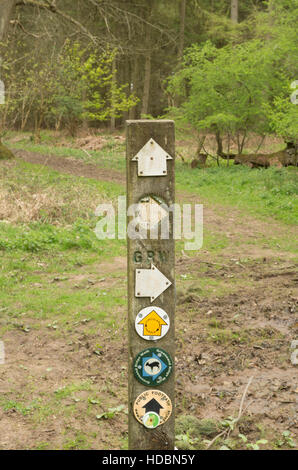 Una foto di un waymarker in legno con molti diversi sentieri pubblici e frecce per seguire Foto Stock