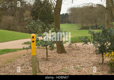 Una foto di un giallo waymarker o cartello in un campo di golf con le frecce che mostrano la direzione a piedi Foto Stock